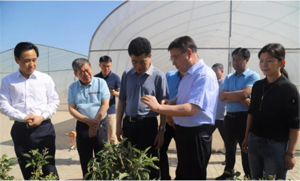 ʡ(w)ϯһе\r(nng)I(y)ƼFҕ