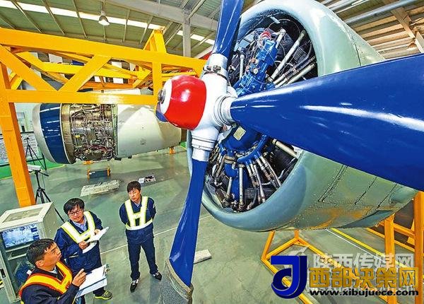 1507857869243947.jpg 3.jpg