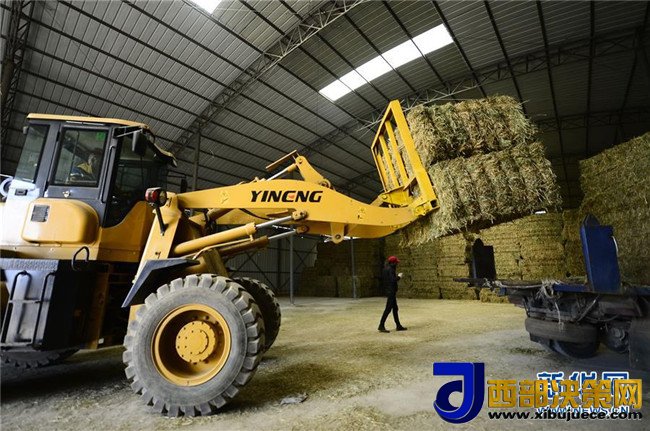 1510104308561822.jpg 2.jpg