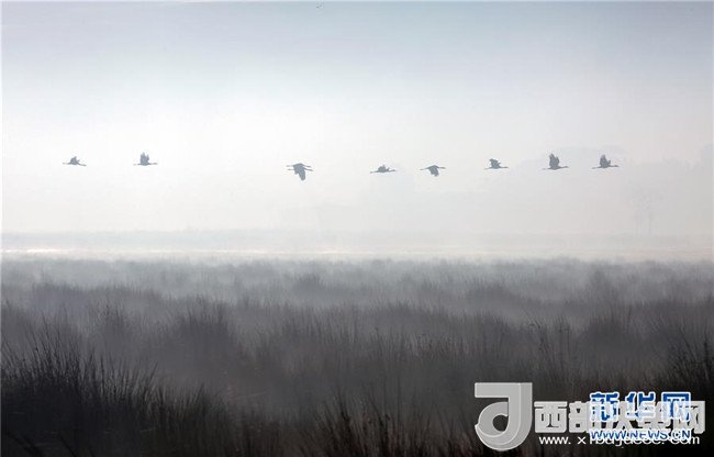 1510884512542673.jpg 2.jpg