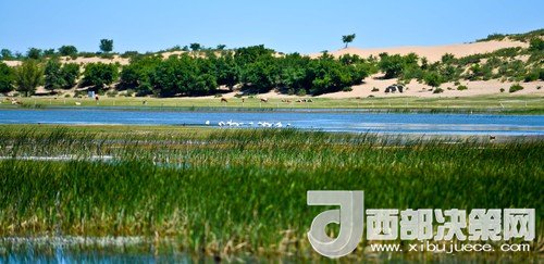 阿魯科爾沁保護(hù)區(qū)濕地沙丘。吳勇攝