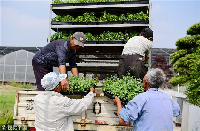 數(shù)字經(jīng)濟(jì)已經(jīng)成為我國(guó)經(jīng)濟(jì)社會(huì)更好發(fā)展的重要推動(dòng)力，也為我國(guó)鄉(xiāng)村發(fā)展提供了新的歷史機(jī)遇。（圖片來源：視覺中國(guó)）