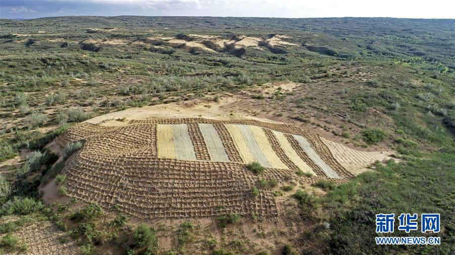 （壯麗70年·奮斗新時代——共和國發(fā)展成就巡禮·圖文互動）（6）生態(tài)美、百姓富——品讀嶄新“寧夏畫卷”
