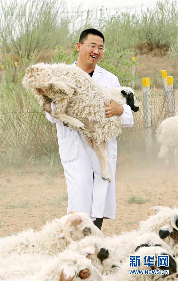 （壯麗70年·奮斗新時代——共和國發(fā)展成就巡禮·圖文互動）（3）生態(tài)美、百姓富——品讀嶄新“寧夏畫卷”