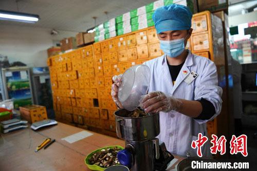 疫情發(fā)生以來，甘肅確保所有病例盡早、及時(shí)、全程使用中醫(yī)中藥，努力做到“一患一方案”。(資料圖) 楊艷敏 攝