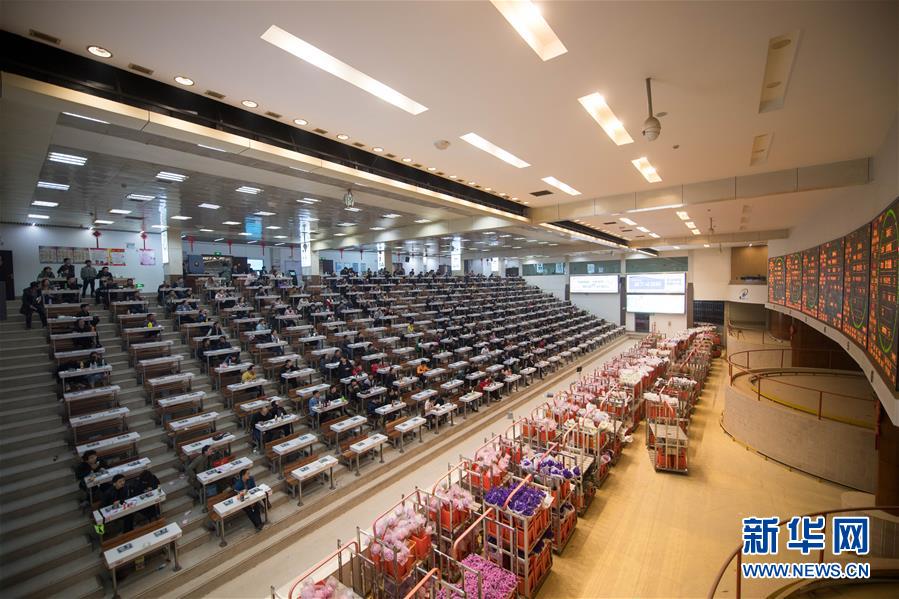 (新華全媒頭條·走向我們的小康生活·圖文互動)(9)綠染云嶺小康路——生態(tài)文明建設的云南實踐