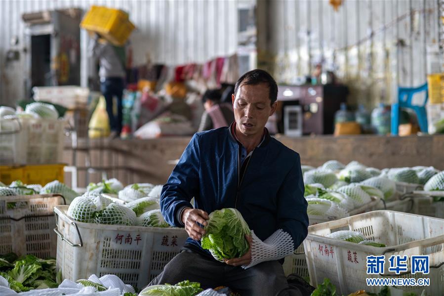 (新華全媒頭條·走向我們的小康生活·圖文互動)(12)綠染云嶺小康路——生態(tài)文明建設的云南實踐