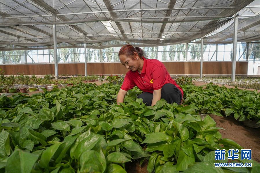 （新華全媒頭條·圖文互動）（11）旗引天山南北　譜寫發(fā)展新篇——以習近平同志為核心的黨中央關心新疆工作紀實