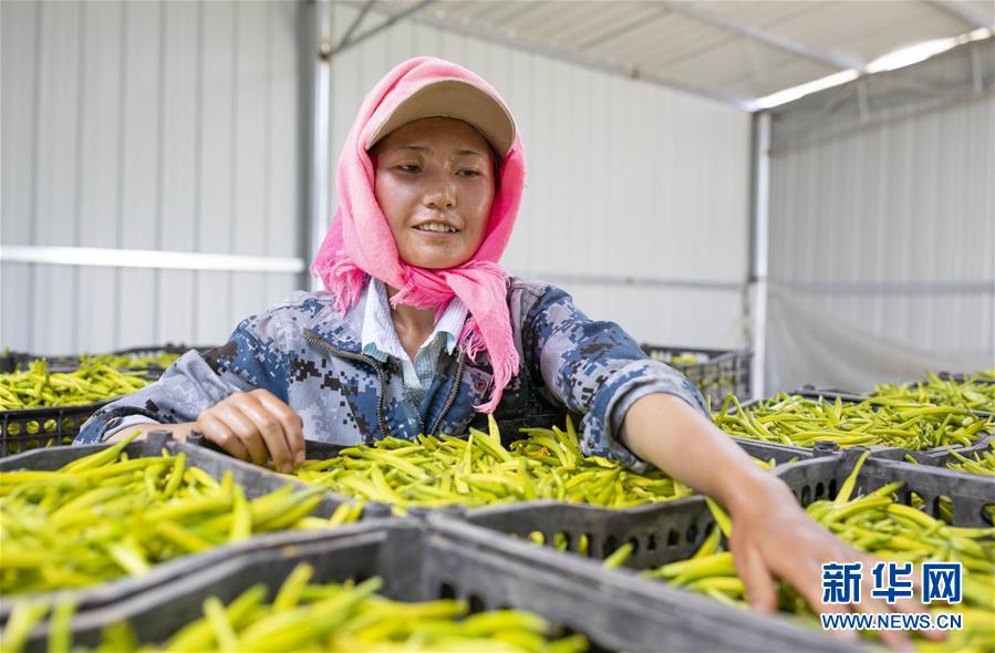 (新華全媒頭條·百萬(wàn)大移民·圖文互動(dòng))(9)從大山深處到大河之畔——寧夏持續(xù)移民百萬(wàn)“拔窮根”啟示