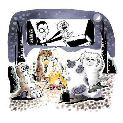 ▲物理學家薛定諤曾用一只貓比喻量子疊加。圖片來源：視覺中國