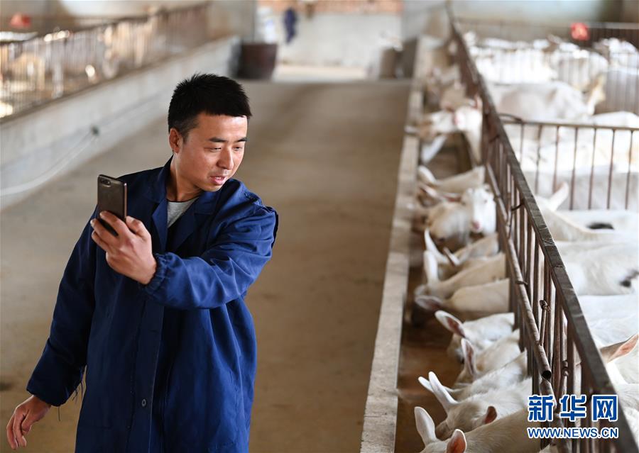 (新華全媒頭條·五中全會精神在基層·圖文互動(dòng))(12)奮發(fā)新青年 逐夢新征程——各地青年學(xué)習(xí)貫徹落實(shí)五中全會精神觀察