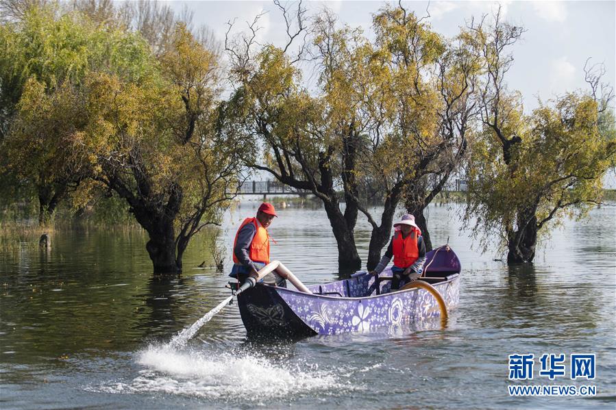 (新華全媒頭條·五中全會精神在基層·圖文互動(dòng))(9)奮發(fā)新青年 逐夢新征程——各地青年學(xué)習(xí)貫徹落實(shí)五中全會精神觀察