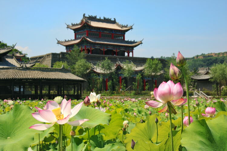 【云游渭南】心中若有桃花源，此處便是水云間！待疫情散盡，一起來渭南桃花源賞美景、觀民俗、享美食_fororder_2