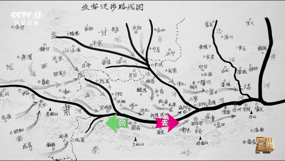 “麥客”遷徙路線 繪制:石寶繡